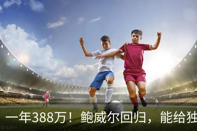 一年388万！鲍威尔回归，能给独行侠带来什么？