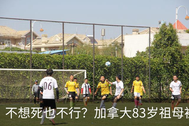 不想死也不行？加拿大83岁祖母被“强制安乐死”，家属称她曾哭着明确拒绝