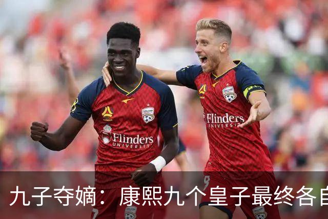 九子夺嫡：康熙九个皇子最终各自下场