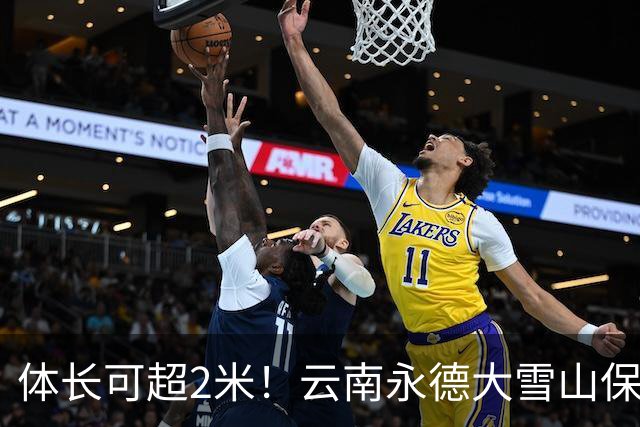 体长可超2米！云南永德大雪山保护区首次记录到这种大鱼