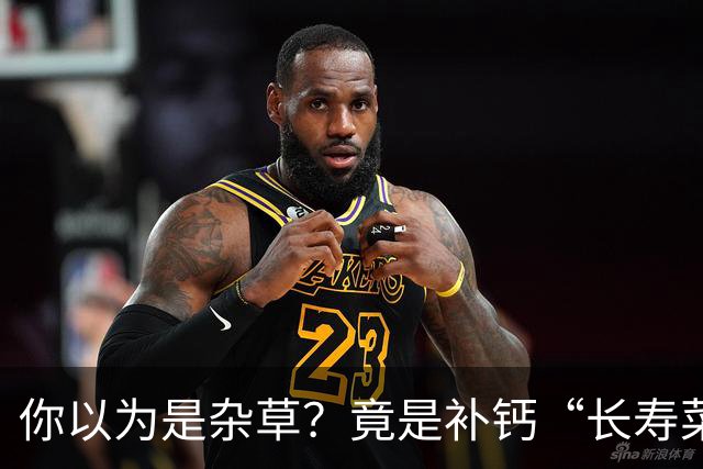 你以为是杂草？竟是补钙“长寿菜”！清湿热、补钙质，可惜很多人当草扔了