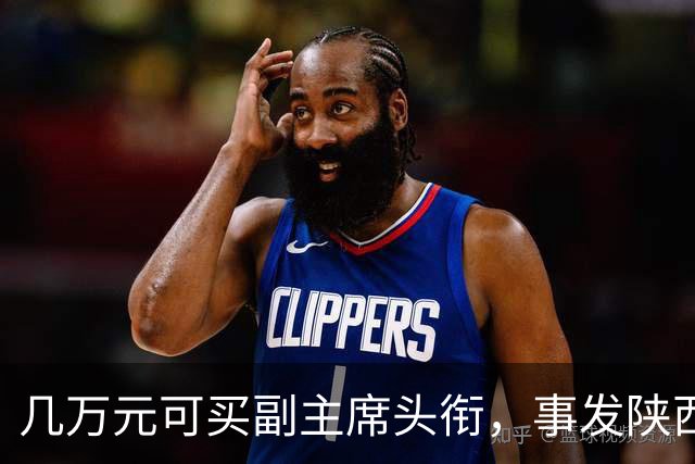 几万元可买副主席头衔，事发陕西省新闻书画家协会