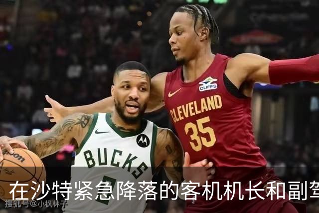 在沙特紧急降落的客机机长和副驾驶受伤入院
