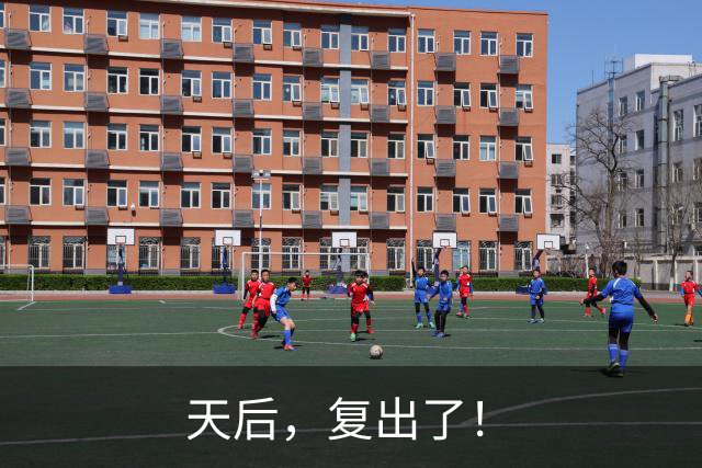 天后，复出了！