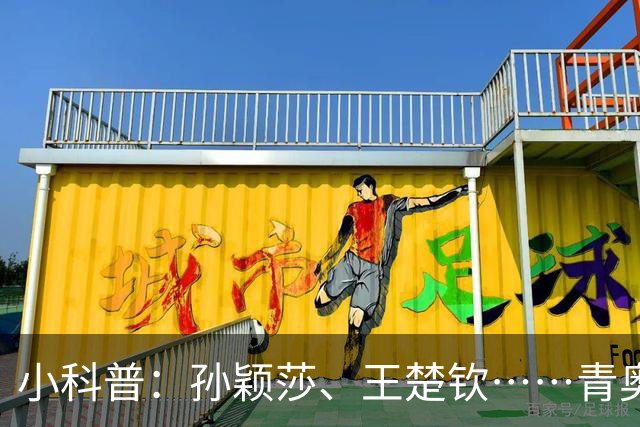 小科普：孙颖莎、王楚钦……青奥会上走出多少体坛名将？