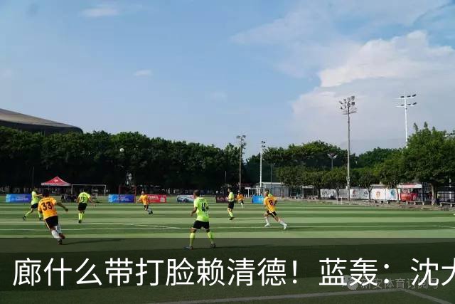 廊什么带打脸赖清德！蓝轰：沈大草包