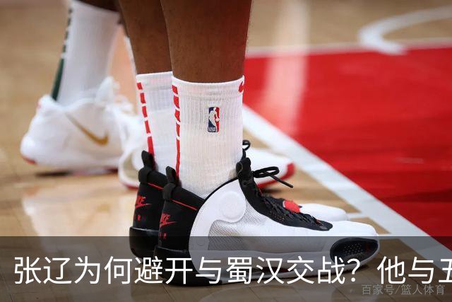 张辽为何避开与蜀汉交战？他与五虎大将单挑，能赢几人？