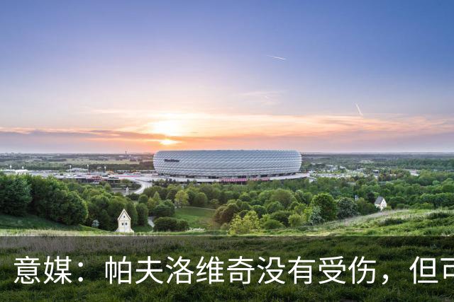 意媒：帕夫洛维奇没有受伤，但可能因为疲劳缺战德国