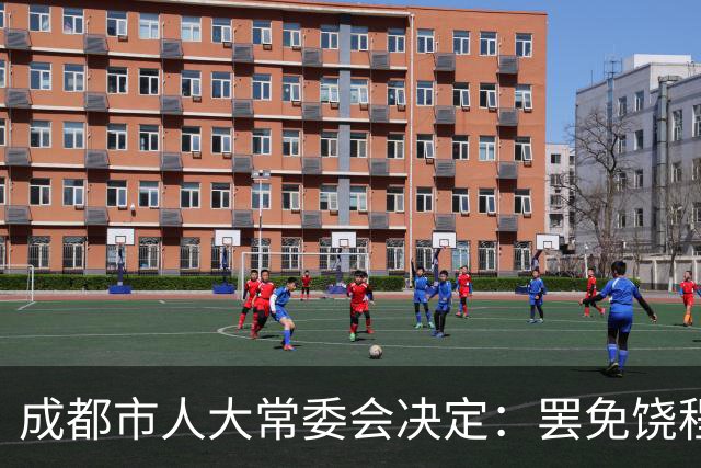 成都市人大常委会决定：罢免饶程省人大代表职务