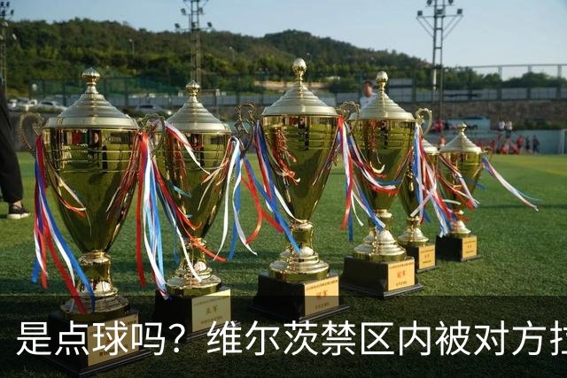 是点球吗？维尔茨禁区内被对方拉拽后倒地，主裁判没有表示