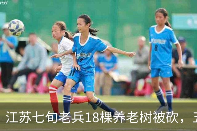 江苏七旬老兵18棵养老树被砍，五次赴省反映后被送派出所