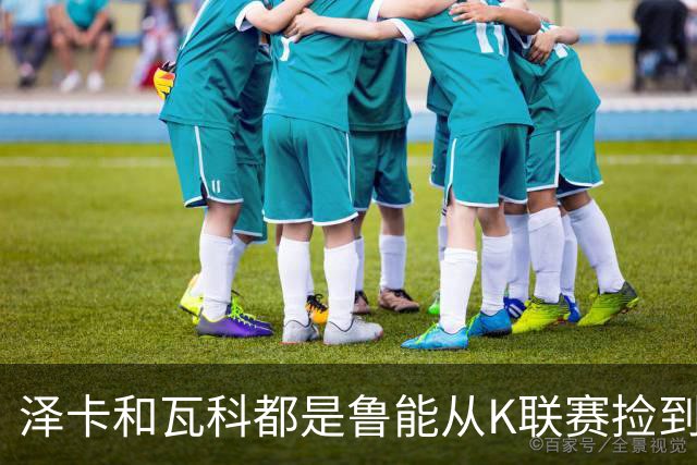 泽卡和瓦科都是鲁能从K联赛捡到的宝，如今表现不错，值得期待