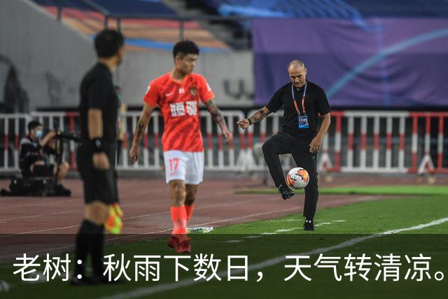 老树：秋雨下数日，天气转清凉。小园颇岑寂，落叶红与黄。繁华将去矣，睹物多感伤。感伤又如何？红尘接着忙
