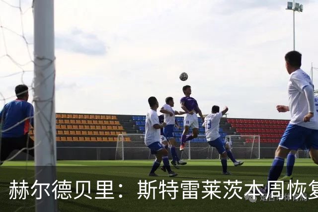 赫尔德贝里：斯特雷莱茨本周恢复合练，或赶上查尔顿之战