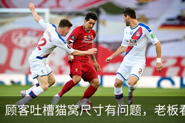 顾客吐槽猫窝尺寸有问题，老板看完买家秀沉默了...网友：我真的很少站卖家这边！