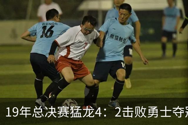 19年总决赛猛龙4：2击败勇士夺冠，小卡场均28+9+4，水花表现如何