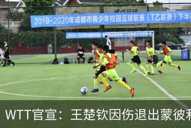 WTT官宣：王楚钦因伤退出蒙彼利埃冠军赛 连续退赛何时复出未知